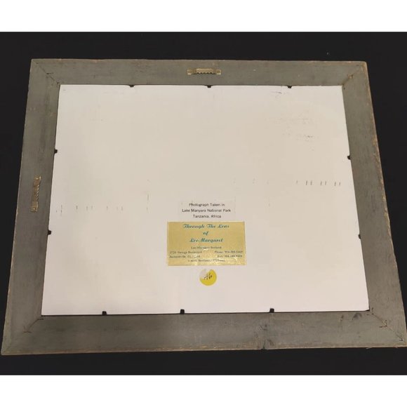 Hippopotamus Photography Lake Manyara National Park Tanzania Africa Lee-Margaret - Picture 9 of 15